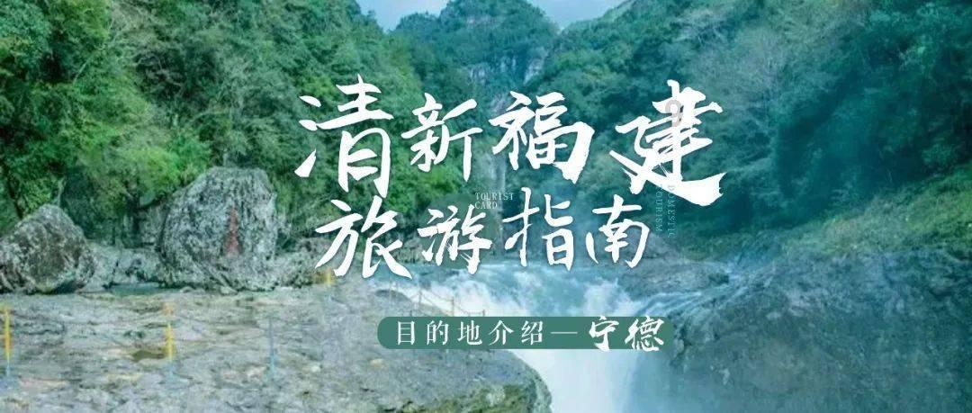 我的虚拟男友